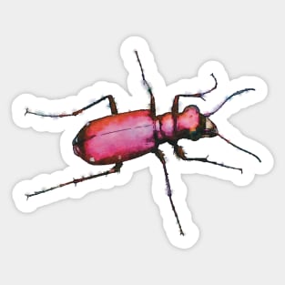 Metallic Pink Tiger Beetle Sticker